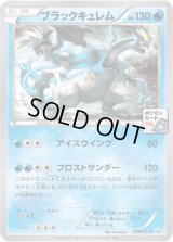 ブラックキュレム【P】{239/XY-P}