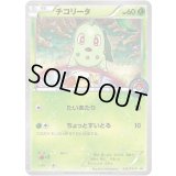 チコリータ【P】{222/XY-P}