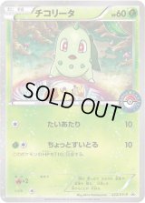 チコリータ【P】{222/XY-P}