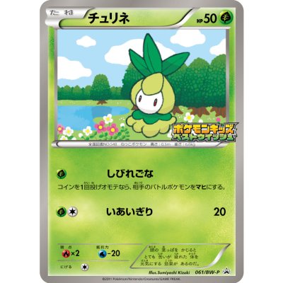 〔状態A-〕チュリネ【P】{061/BW-P}