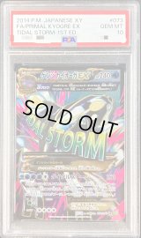 〔PSA10鑑定済〕ゲンシカイオーガEX【SR】{073/070}