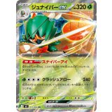 ジュナイパーex【RR】{012/080}