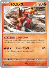 バクガメス【U】{017/080}