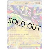 〔状態B〕メガジガルデex【RR】{046/080}