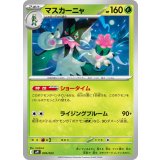 マスカーニャ【-】{005/023}