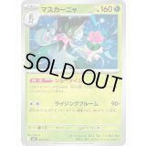 マスカーニャ【-】{005/023}