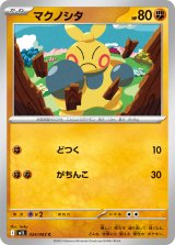 マクノシタ【C】{024/063}