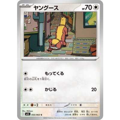 ヤングース【C】{055/063}