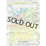 オーガポンみどりのめんex【RR】{017/193}