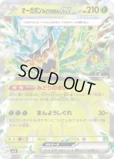 オーガポンみどりのめんex【RR】{017/193}