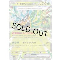 〔状態B〕オーガポンみどりのめんex【RR】{017/193}