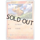 ポカブ【-】{024/193}