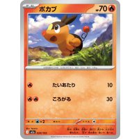 ポカブ【-】{024/193}