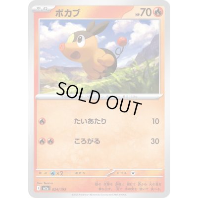 画像1: ポカブ【-】{024/193}