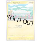 シビシラス【-】{047/193}