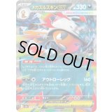 メガズルズキンex【RR】{110/193}