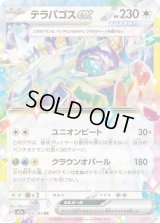 テラパゴスex【RR】{145/193}