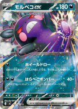 モルペコex【RR】{053/081}