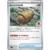 古びたたての化石【C】{072/081}