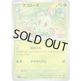 チコリータ【-】{016/742}