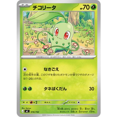 画像1: チコリータ【-】{016/742}