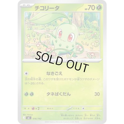 画像1: 〔状態A-〕チコリータ【-】{016/742}