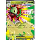 メガメガニウムex(ノーマル仕様)【-】{018/742}