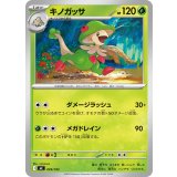 キノガッサ【-】{029/742}