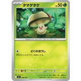 タマゲタケ【-】{048/742}