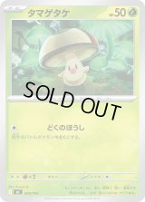 タマゲタケ【-】{048/742}