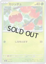 カジッチュ【-】{062/742}