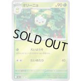 オリーニョ(ミラー)【-】{070/742}