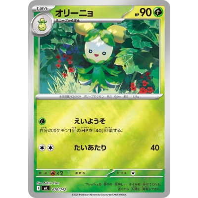 画像1: オリーニョ(ミラー)【-】{070/742}