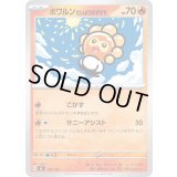 ポワルンたいようのすがた【-】{102/742}