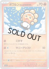 ポワルンたいようのすがた【-】{102/742}