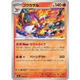 ゴウカザル【-】{105/742}