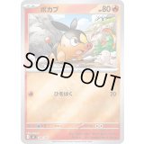 〔状態A-〕ポカブ(ミラー)【-】{109/742}