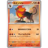 カエンジシ【-】{128/742}