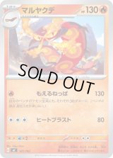 マルヤクデ【-】{141/742}