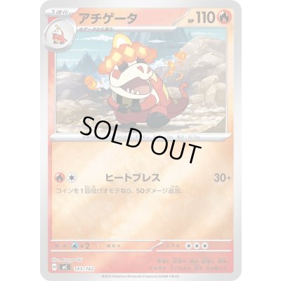 画像1: アチゲータ(ミラー)【-】{143/742}