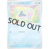 ケイコウオ【-】{195/742}