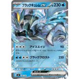 ブラックキュレムex(ノーマル仕様)【-】{204/742}