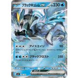 ブラックキュレムex(ミラー)【-】{204/742}