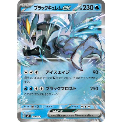 画像1: ブラックキュレムex(ミラー)【-】{204/742}