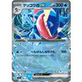 ゲッコウガex(ノーマル仕様)【-】{208/742}