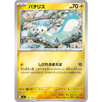 画像1: パチリス(ミラー)【-】{247/742}