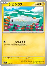 シビシラス【-】{256/742}