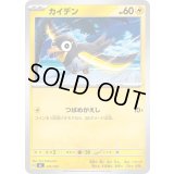 カイデン【-】{275/742}