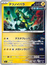 テツノイバラ【-】{281/742}