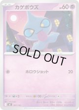 カゲボウズ【-】{307/742}